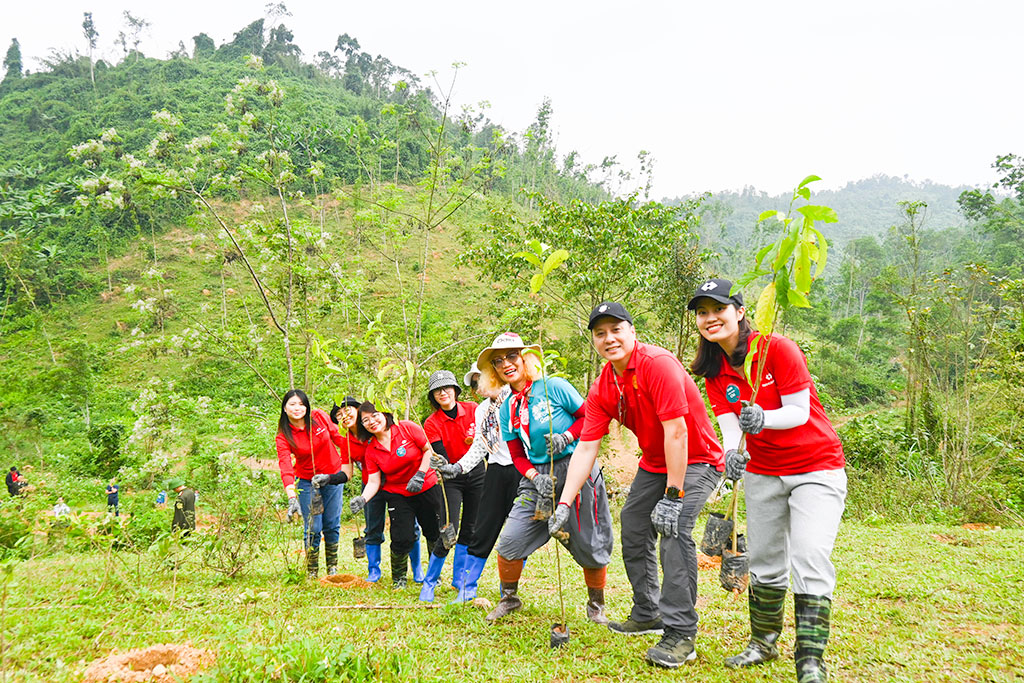 Chung tay phục hồi rừng: Doanh nghiệp và cộng đồng hành động vì tương lai bền vững