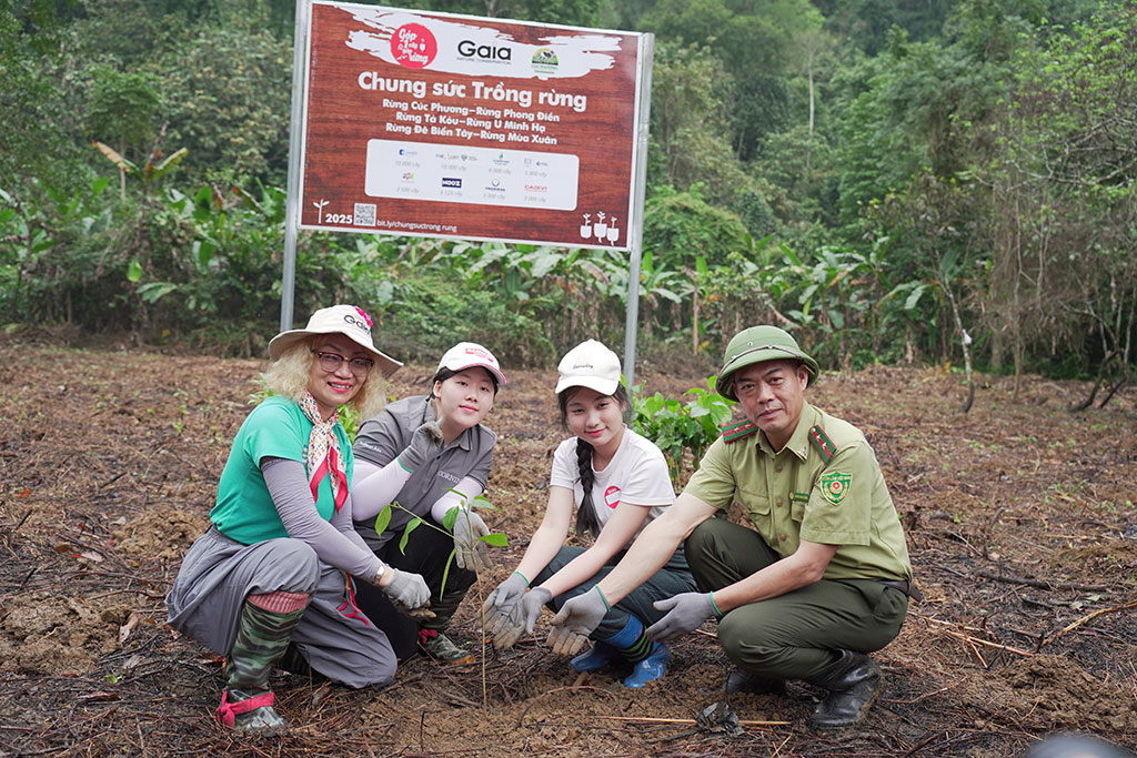 Chung tay phục hồi rừng: Doanh nghiệp và cộng đồng hành động vì tương lai bền vững