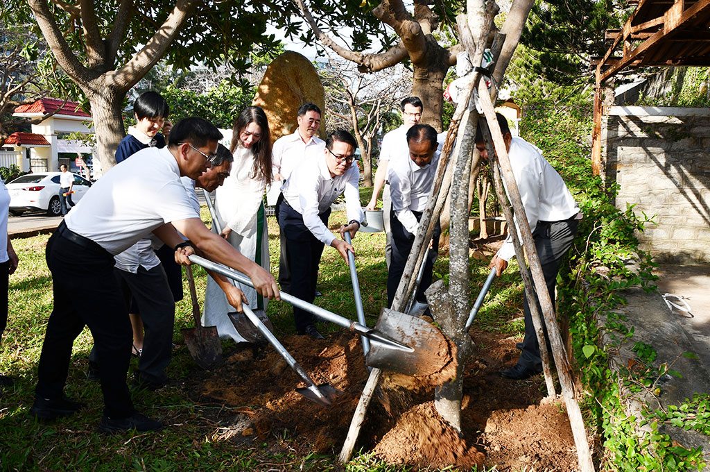 Phường Tam Thắng và HANE phát động trồng cây xanh, chung tay xây dựng không gian đô thị xanh – sạch – đẹp