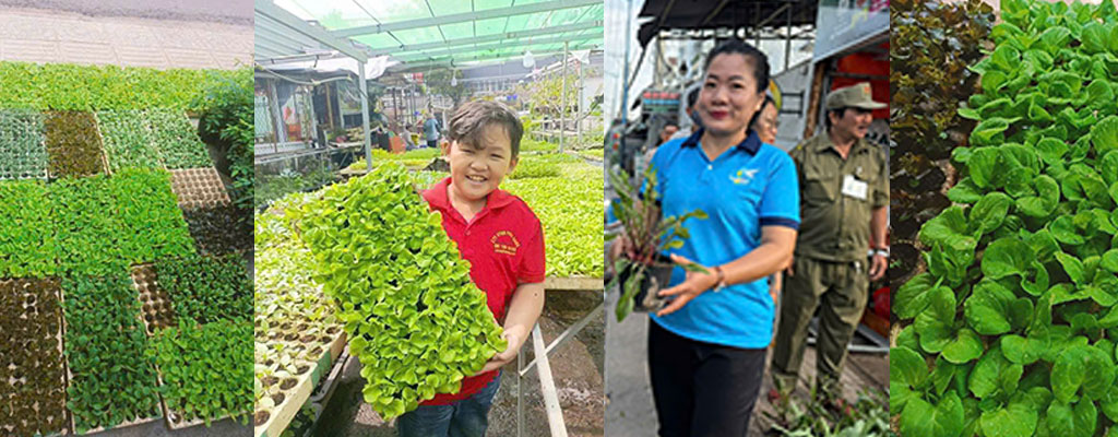 Trao tặng 10.000 cây rau giống và 200 chậu cây dược liệu gây quỹ thiện nguyện nhân Ngày môi trường thế giới 05/06