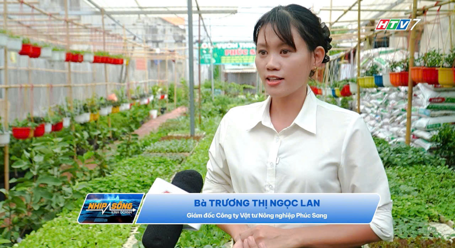 Vật tư nông nghiệp Phúc Sang lan tỏa nông nghiệp xanh – từ vườn nhà đến không gian đô thị
