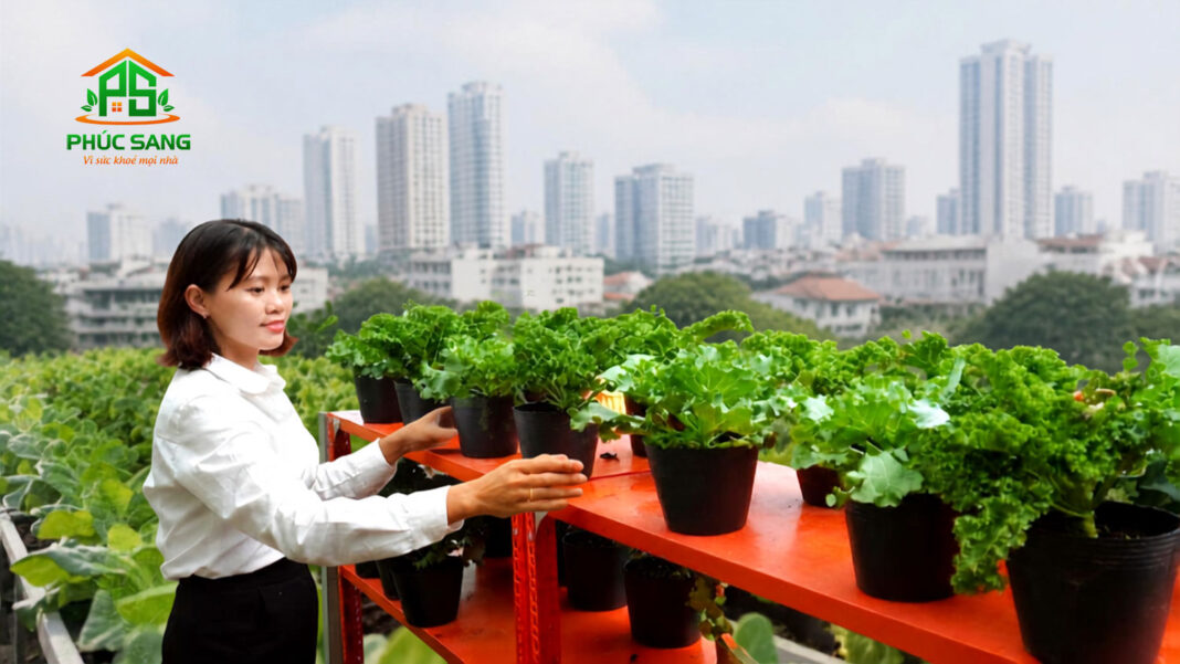 phucsang_1309202611 Vật tư nông nghiệp Phúc Sang lan tỏa nông nghiệp xanh – từ vườn nhà đến không gian đô thị
