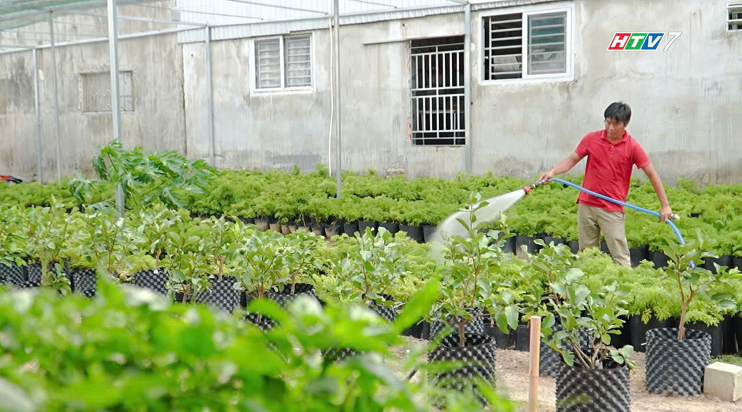 Vật tư nông nghiệp Phúc Sang lan tỏa nông nghiệp xanh – từ vườn nhà đến không gian đô thị